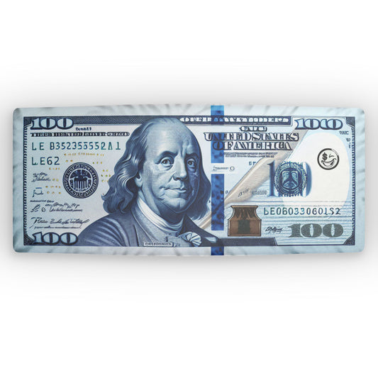 $100 Club Money Pillow