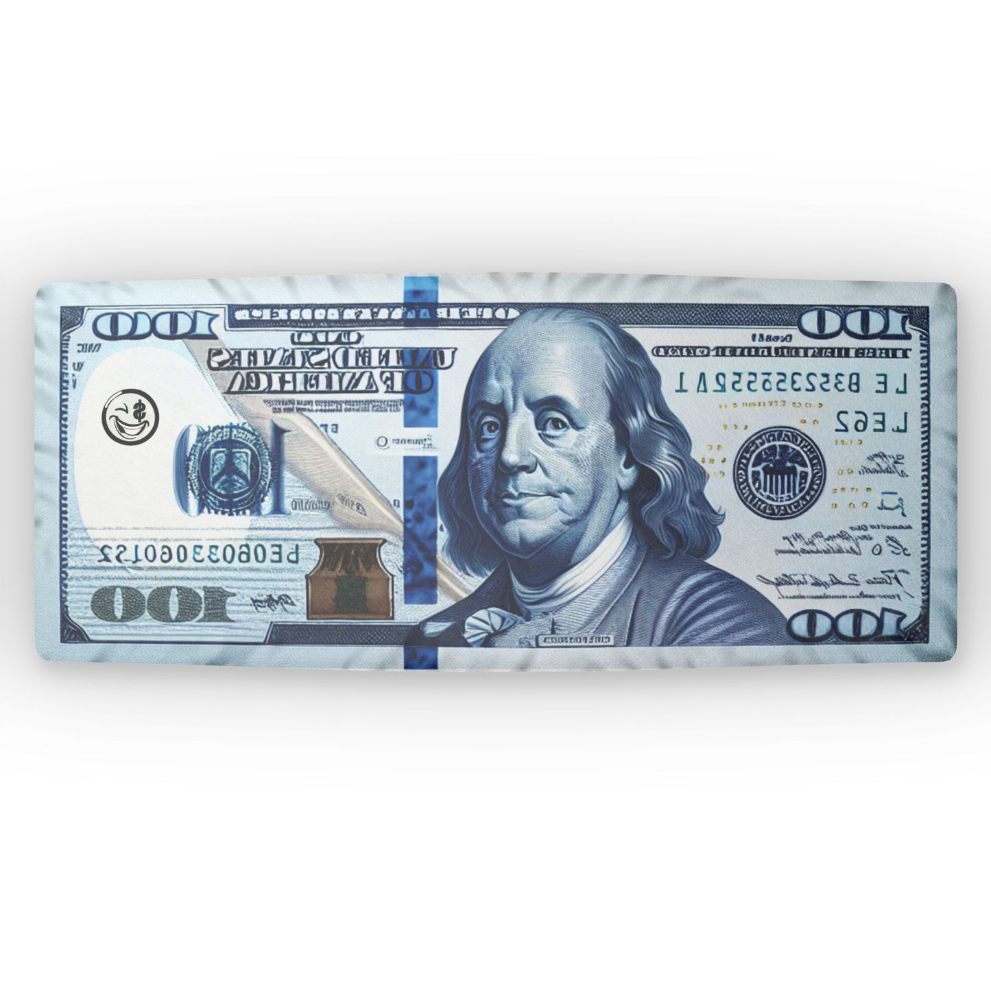 $100 Club Money Pillow